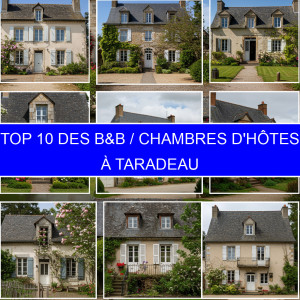 Top 9 des B&B / Chambres d'hôtes à Taradeau