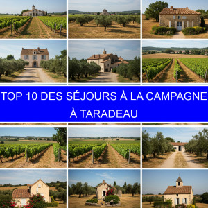 Top 1 des Séjours à la campagne à Taradeau