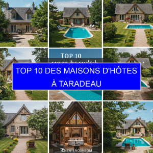 Top 1 des Maisons d'hôtes à Taradeau